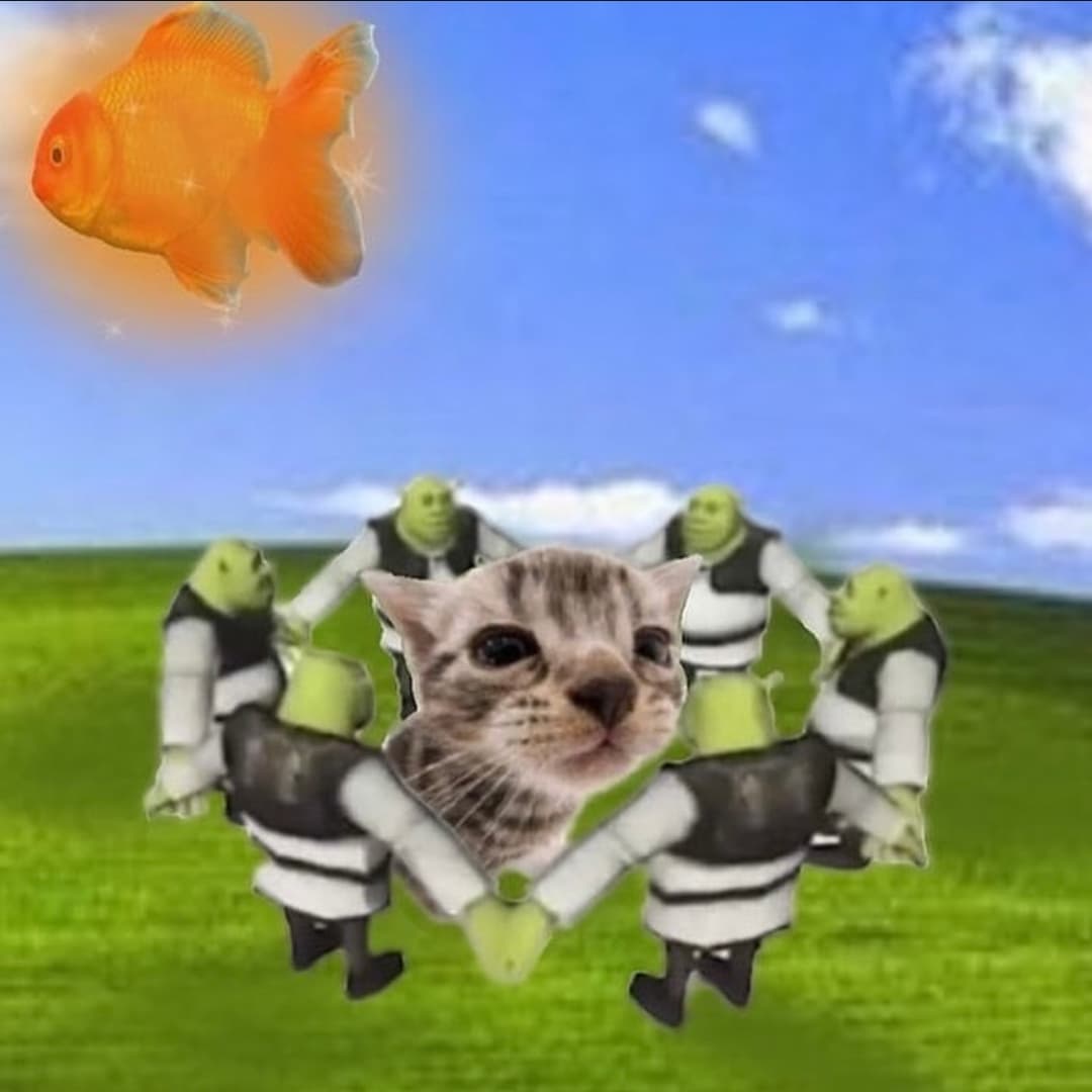 Image 29