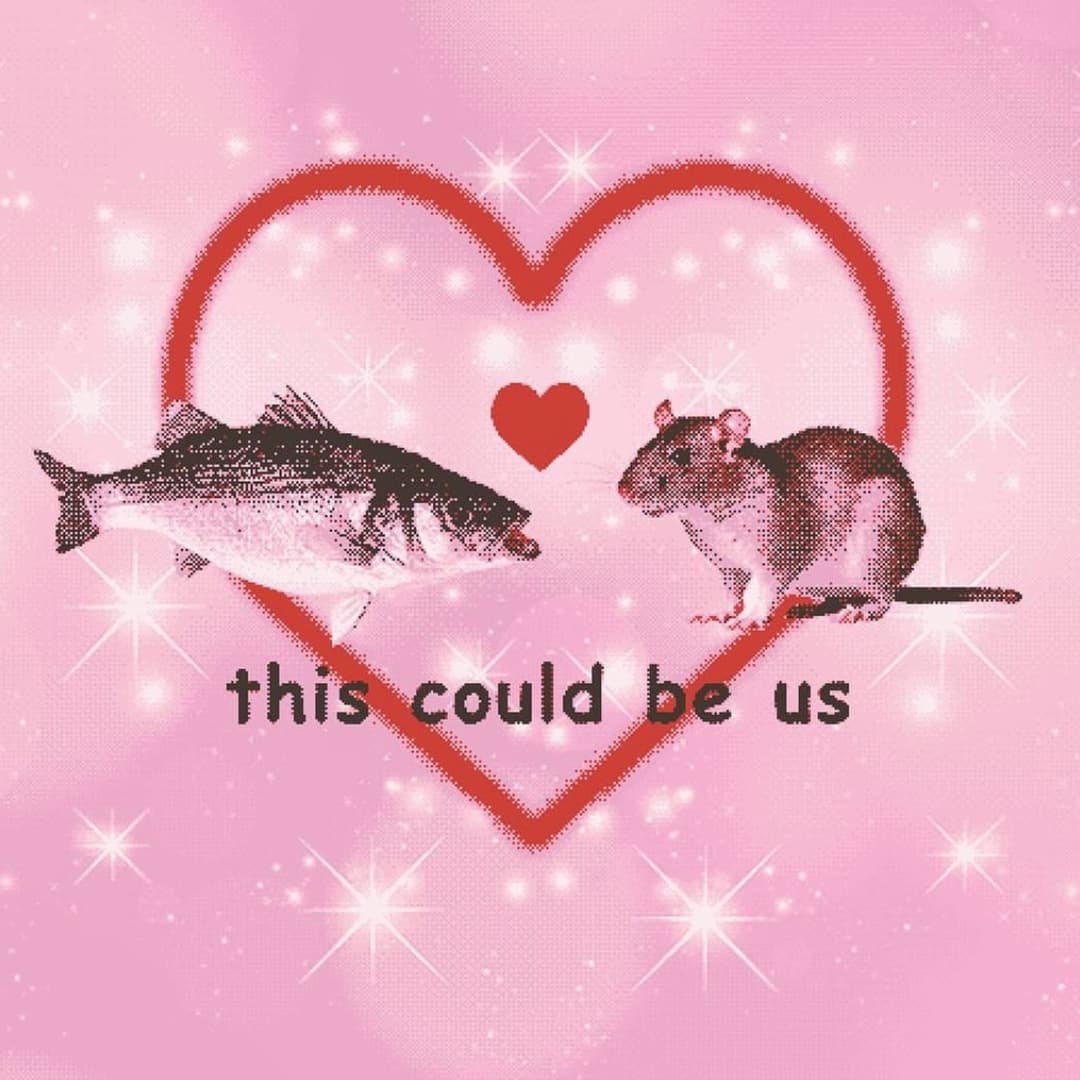 Image 28